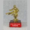 Karate XP2.JPG